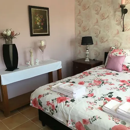 Maison Des Vignes Bed & Breakfast